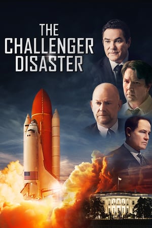 The Challenger Disaster izle