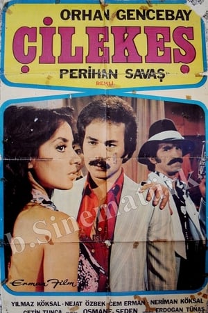 Çilekeş izle