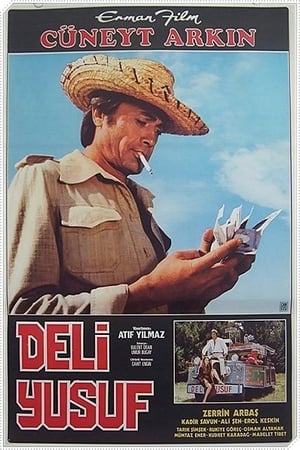 Deli Yusuf izle